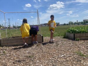PHOTO-2025-06-23-16-39-42 3