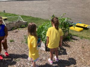 PHOTO-2025-06-23-16-45-06 3