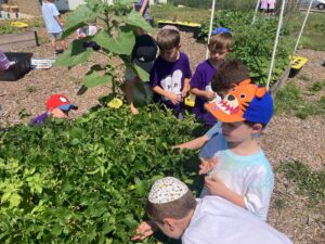 PHOTO-2025-07-18-16-00-39