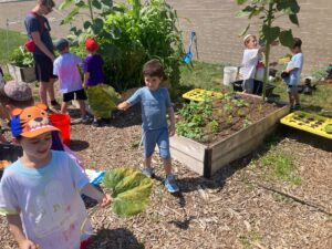 PHOTO-2025-07-18-16-00-52