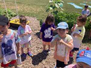 PHOTO-2025-07-18-16-42-10