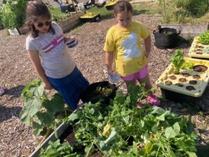 PHOTO-2025-07-21-16-50-00 2