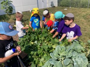 PHOTO-2025-07-21-16-50-41 3