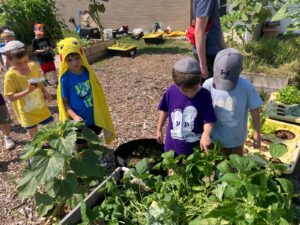 PHOTO-2025-07-21-16-50-42 6