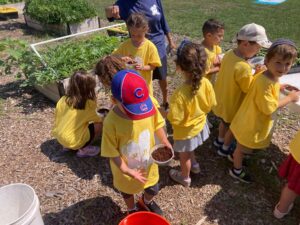 PHOTO-2025-07-22-16-02-01