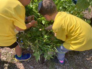 PHOTO-2025-07-22-16-38-34