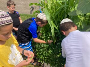 PHOTO-2025-07-23-13-17-28 2
