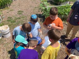 PHOTO-2025-07-28-15-06-53 3