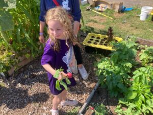 PHOTO-2025-07-28-17-26-52