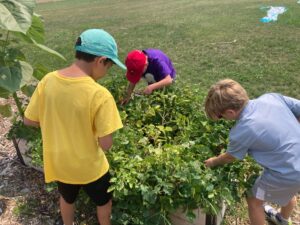 PHOTO-2025-07-31-14-55-12 4