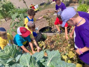 PHOTO-2025-08-05-15-16-51 3