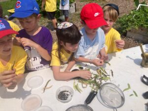 PHOTO-2025-08-06-14-58-06 2