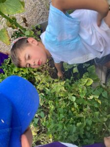 PHOTO-2025-08-06-14-58-14
