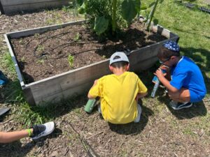 PHOTO-2026-06-29-16-28-40 3