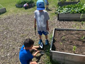 PHOTO-2026-06-29-16-28-40 4