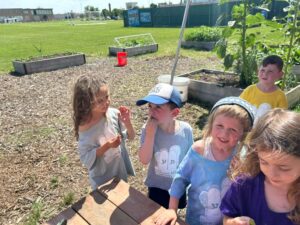 PHOTO-2026-06-29-16-28-56 2