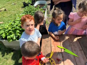 PHOTO-2026-07-06-16-23-38 2