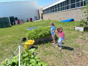 PHOTO-2026-07-06-16-27-36 3