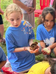 PHOTO-2026-08-05-14-22-24 8