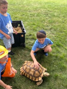 PHOTO-2026-08-05-15-38-09 3